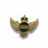 Ascend Pin